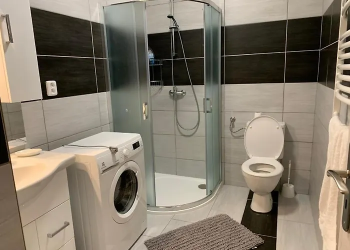 U Koupaliste شقة Velké Meziříčí