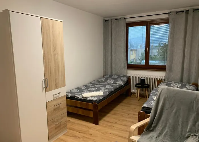 U Koupaliste شقة Velké Meziříčí
